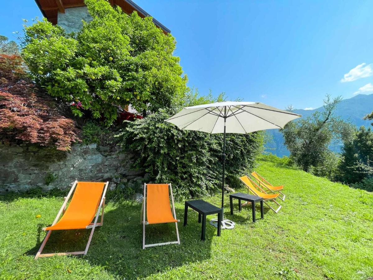 Breva Loft Tra Gli Ulivi Ed Il Lago Bellagio Eksteriør billede