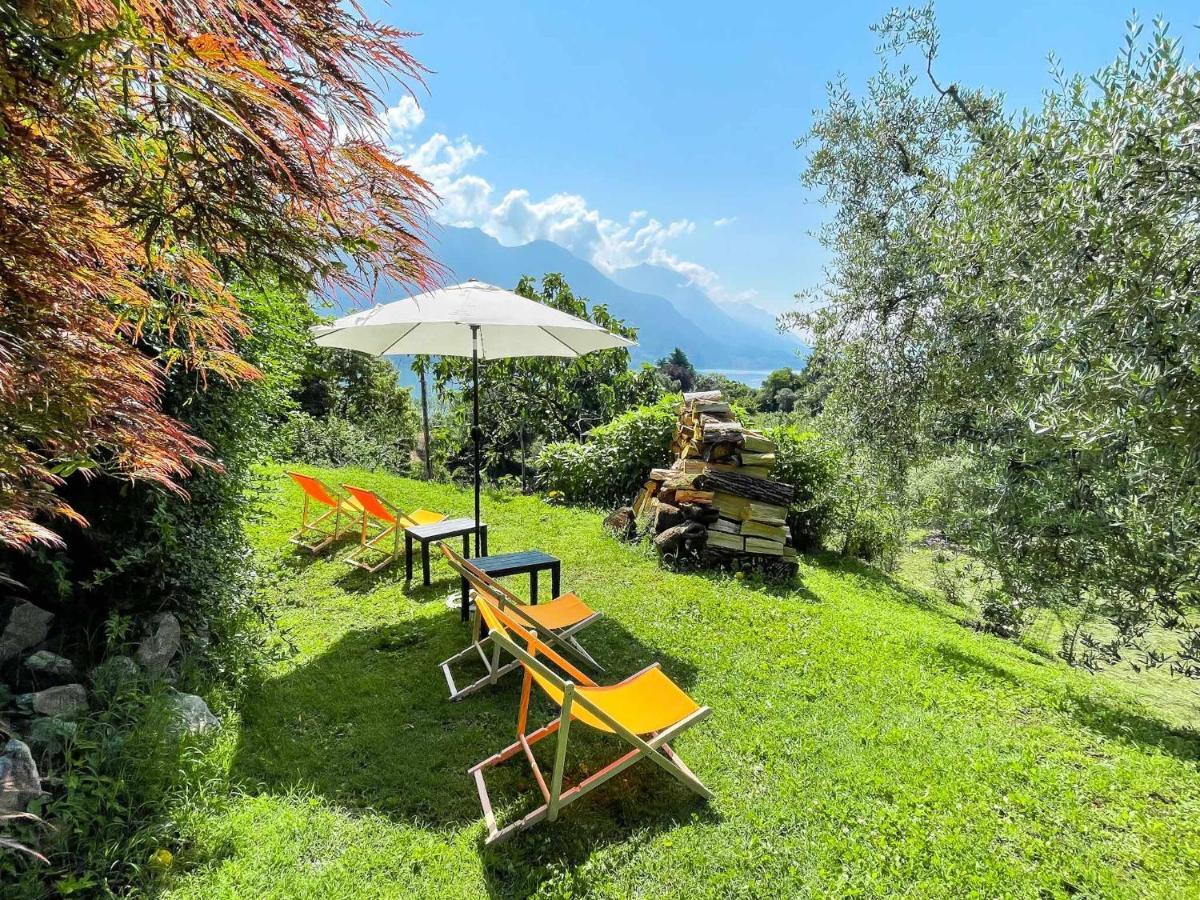 Breva Loft Tra Gli Ulivi Ed Il Lago Bellagio Eksteriør billede