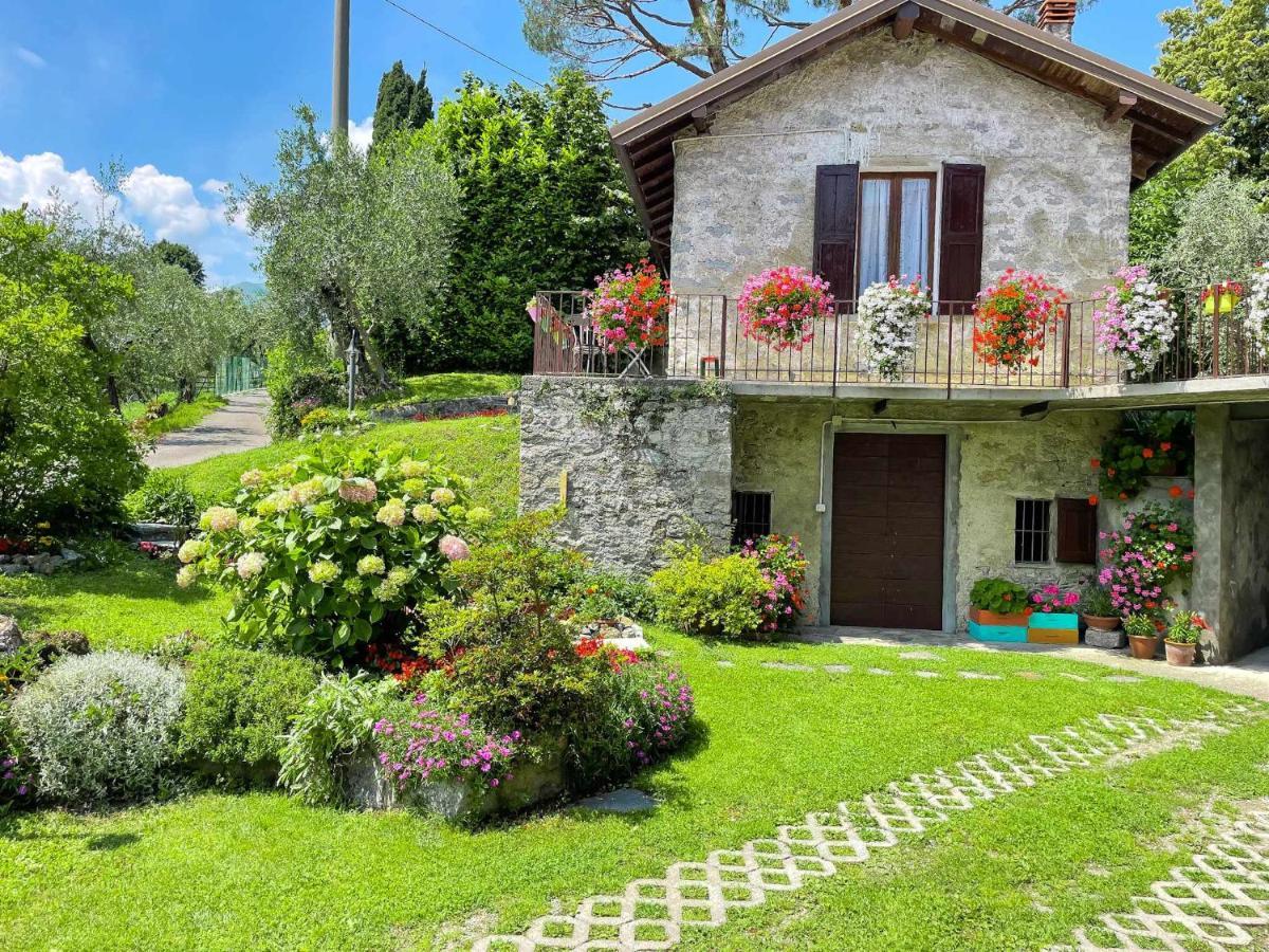Breva Loft Tra Gli Ulivi Ed Il Lago Bellagio Eksteriør billede