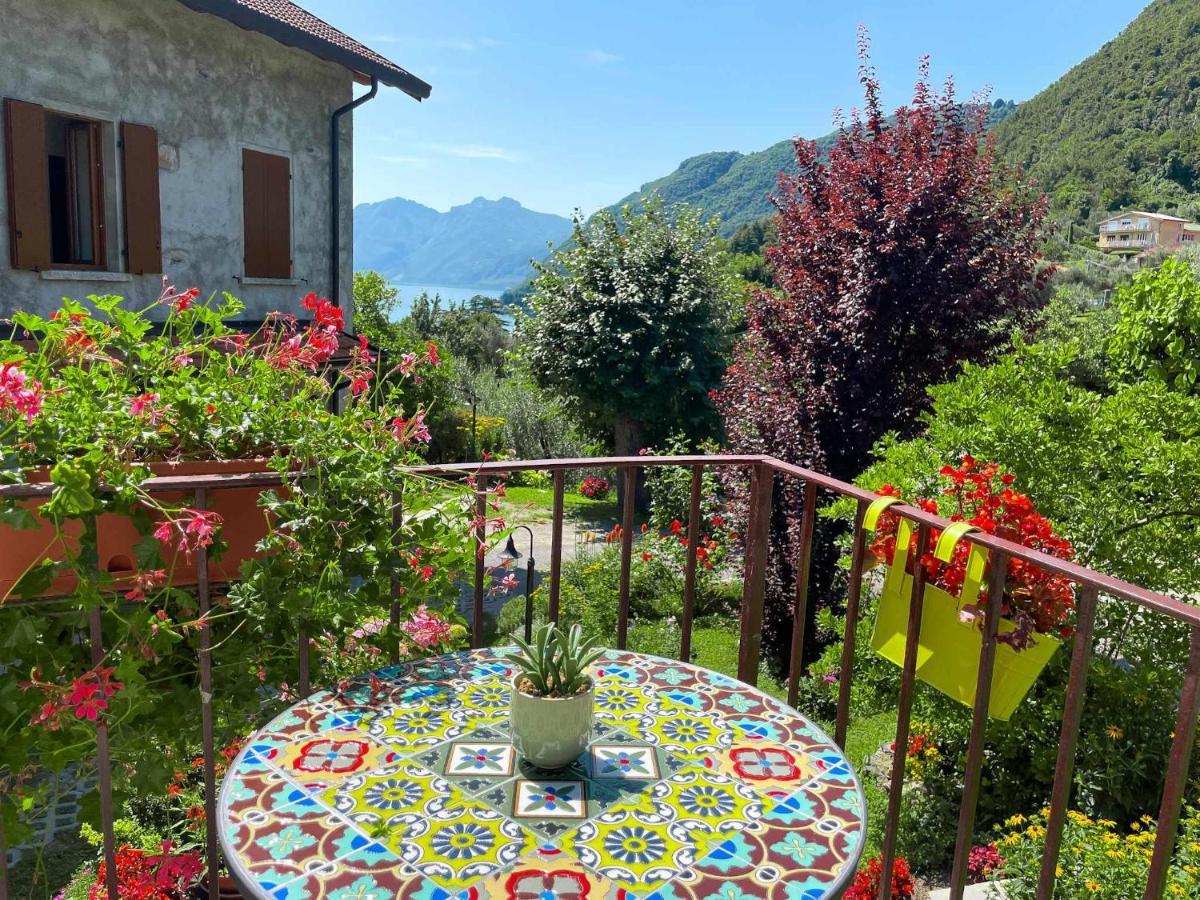 Breva Loft Tra Gli Ulivi Ed Il Lago Bellagio Eksteriør billede